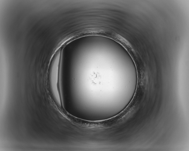 X0000086280786200704122046