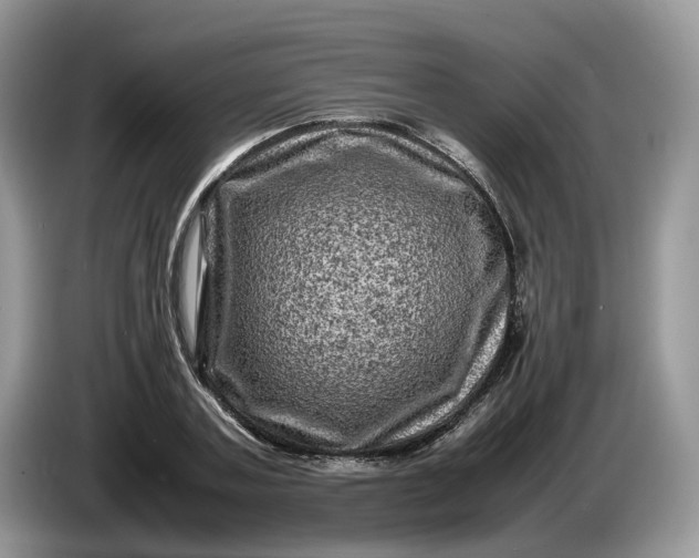 X0000086280787200704122046