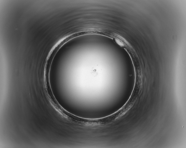 X0000086280788200704122046