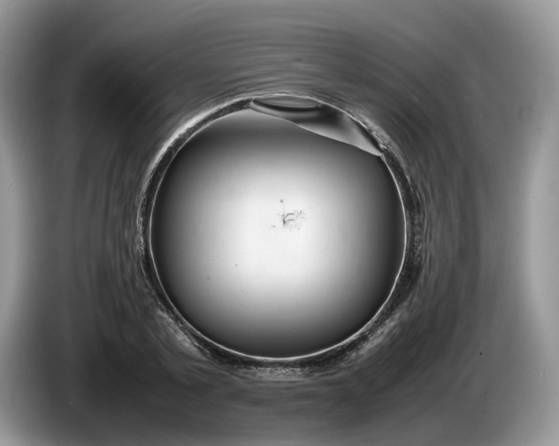 X0000086280789200704122046