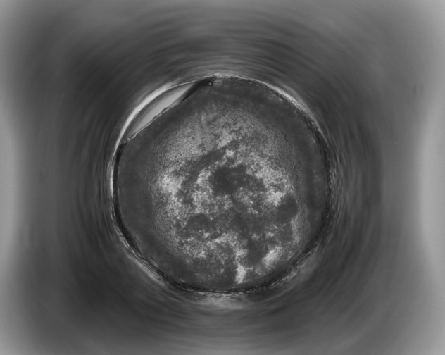 X0000086280790200704122046