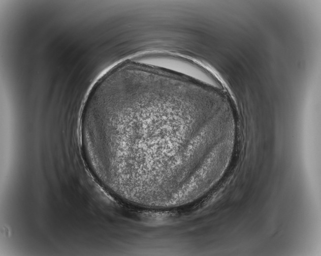 X0000086280791200704122046