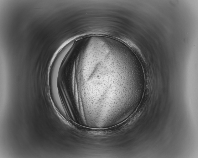 X0000086280792200704122046