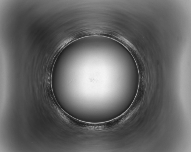 X0000086280793200704122046