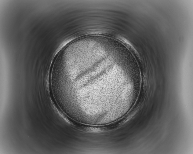 X0000086280794200704122046