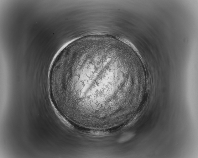 X0000086280795200704122046