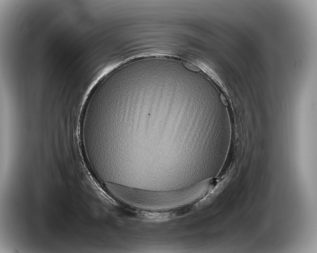 X0000086280797200704122046