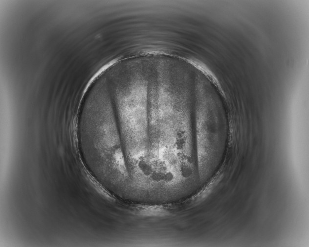 X0000086280798200704122046