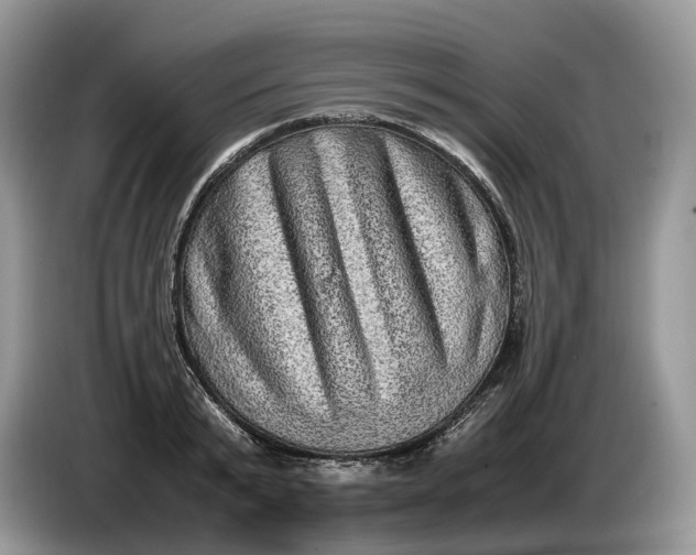 X0000086280799200704122046