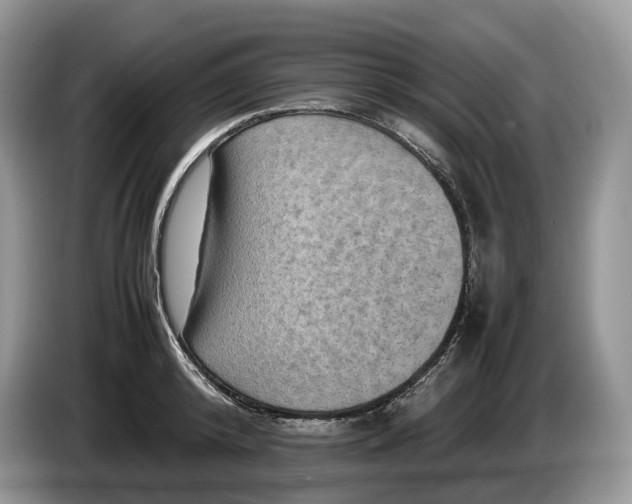 X0000086280800200704122046