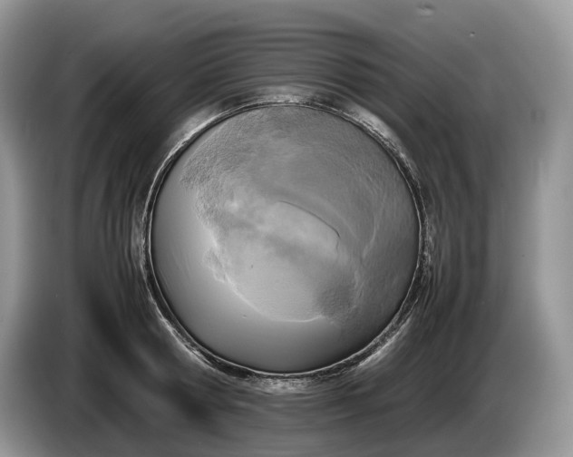 X0000086280802200704122046