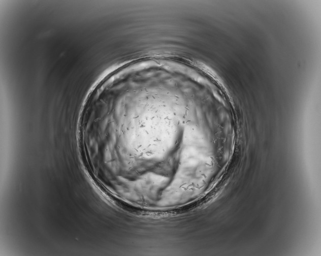 X0000086280803200704122046