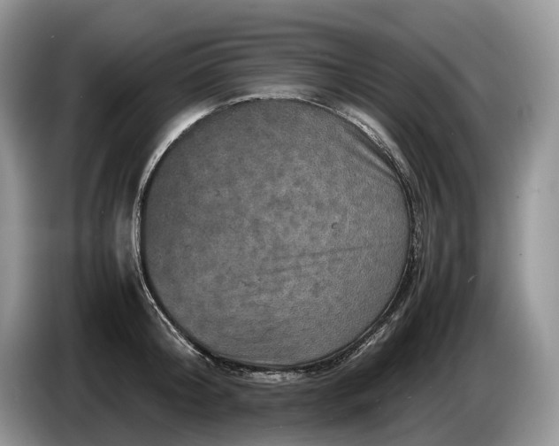 X0000086280804200704122046