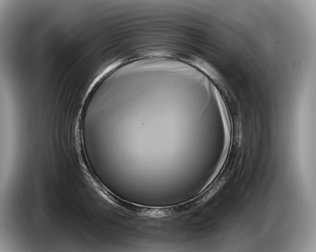 X0000086280806200704122046