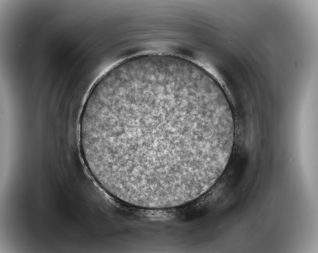 X0000086280807200704122046