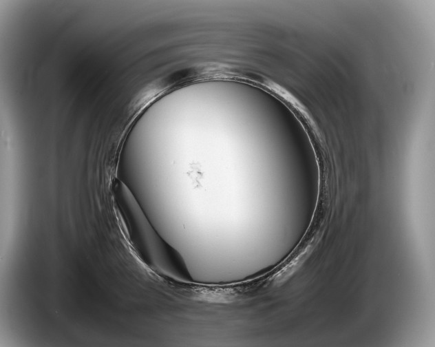 X0000086280809200704122046