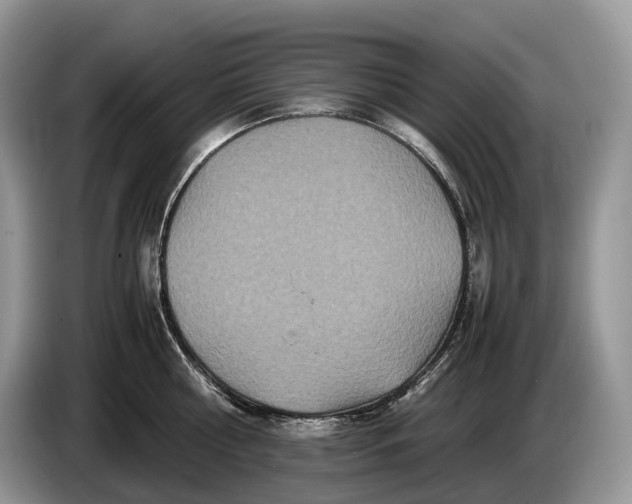 X0000086280810200704122046