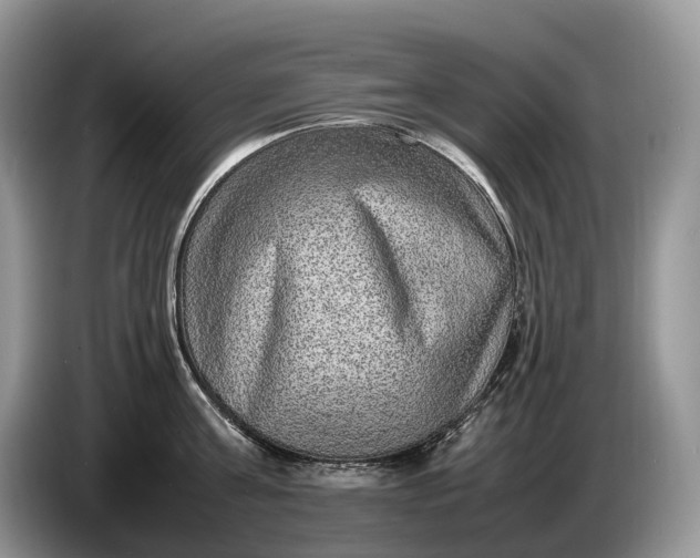 X0000086280811200704122046