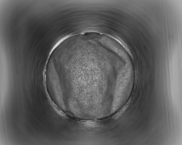 X0000086280814200704122046