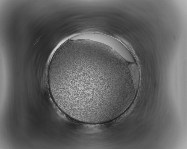 X0000086280816200704122046