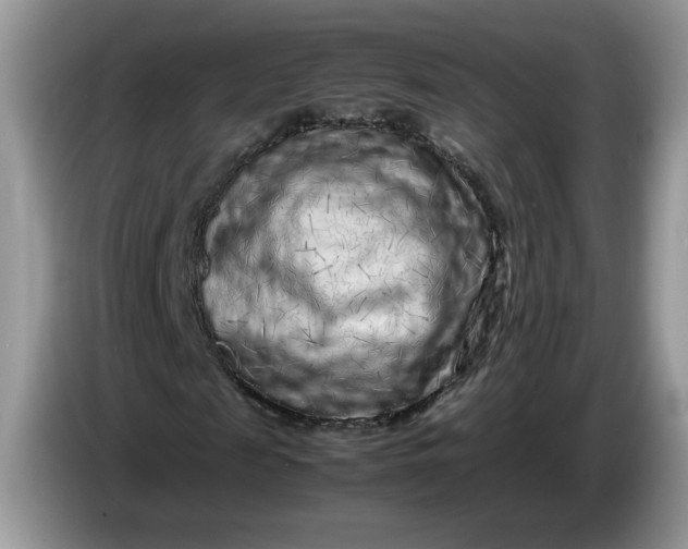 X0000086280817200704122045