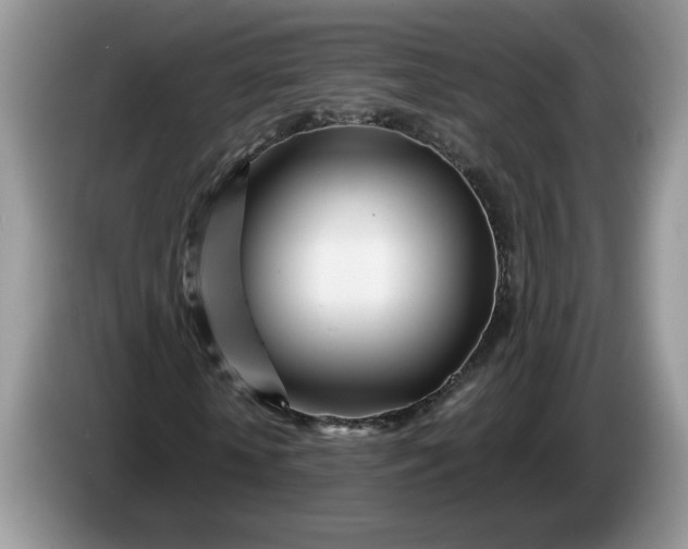 X0000086280818200704122045