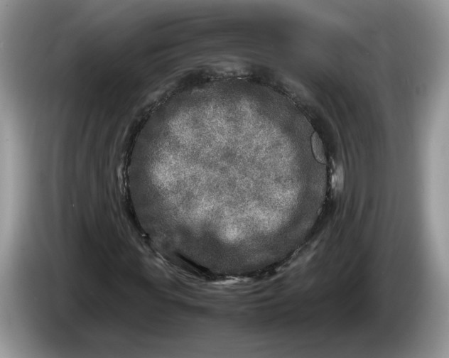 X0000086280819200704122045