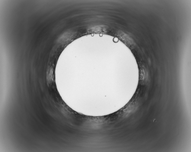 X0000086280820200704122045