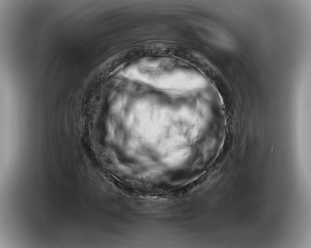 X0000086280821200704122045