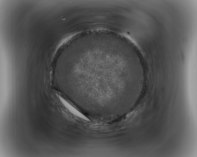 X0000086280823200704122045