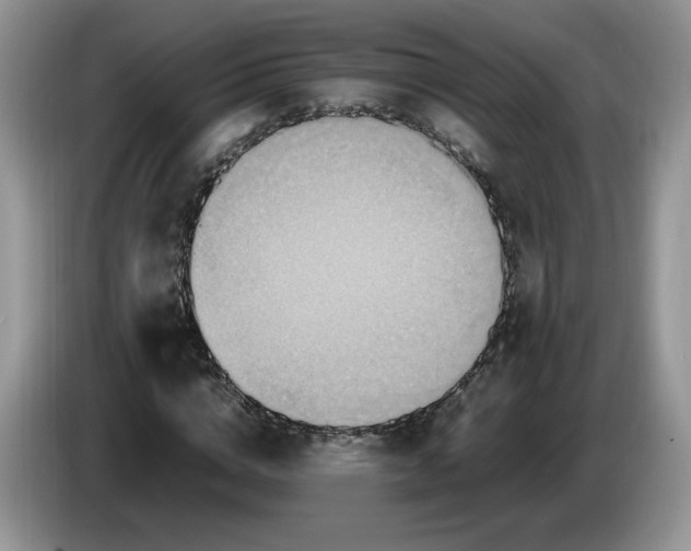 X0000086280824200704122045