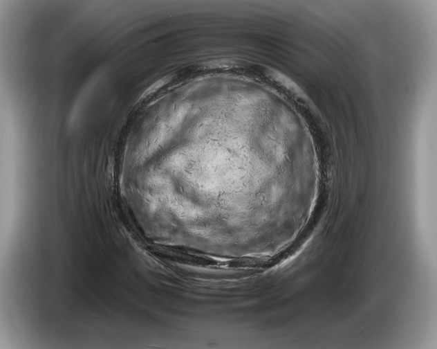 X0000086280825200704122045