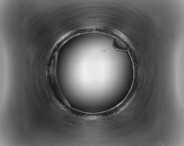 X0000086280826200704122046