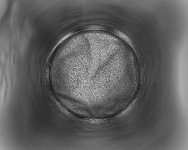 X0000086280827200704122046