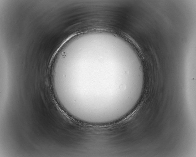 X0000086280828200704122046