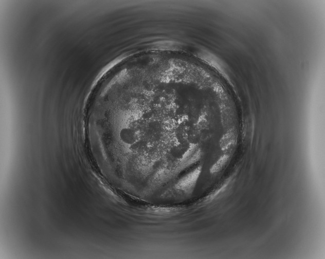 X0000086280829200704122046