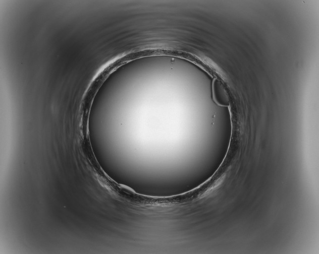 X0000086280830200704122046