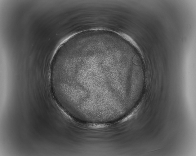 X0000086280831200704122046