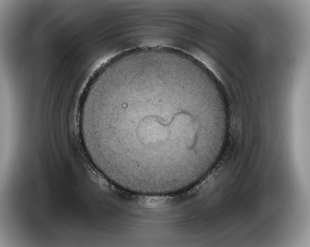 X0000086280832200704122046