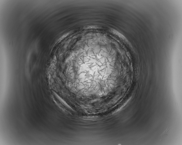 X0000086280833200704122046