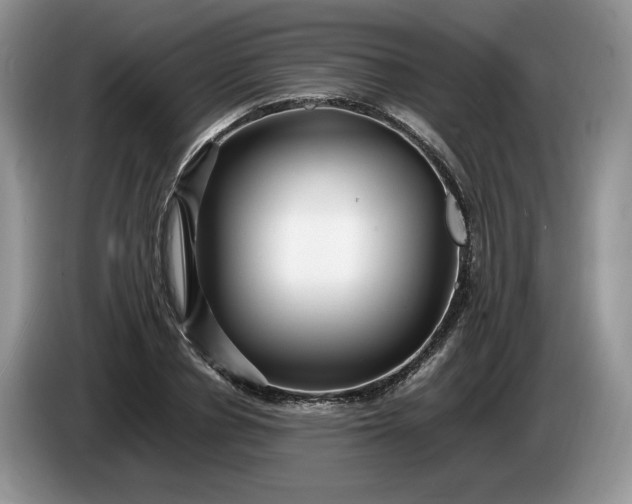 X0000086280834200704122046