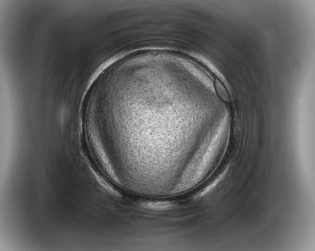 X0000086280837200704122046