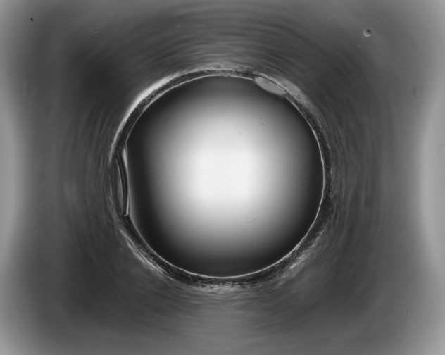 X0000086280838200704122046