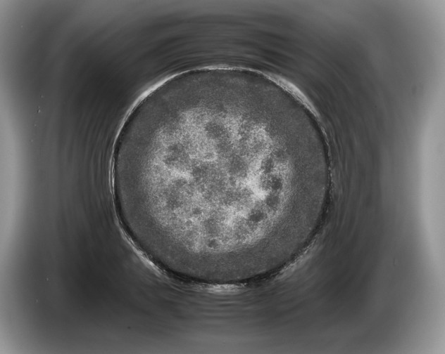 X0000086280839200704122046