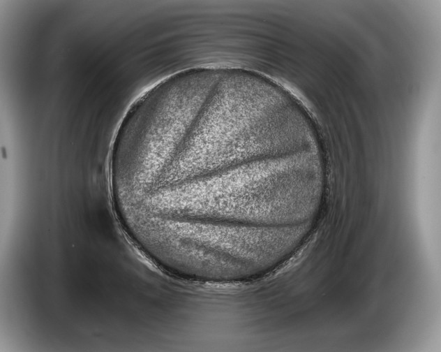 X0000086280840200704122046