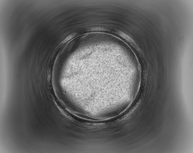 X0000086280841200704122046