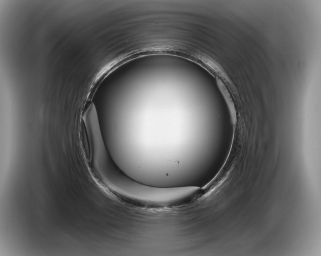 X0000086280842200704122046