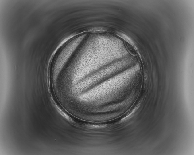 X0000086280843200704122046