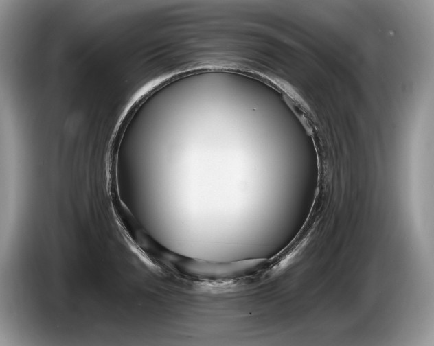 X0000086280846200704122046