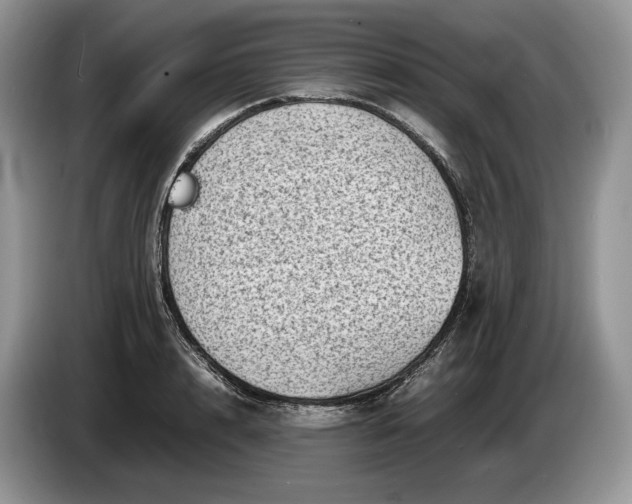 X0000086280848200704122046